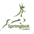  Springbok casino online review for South Africa